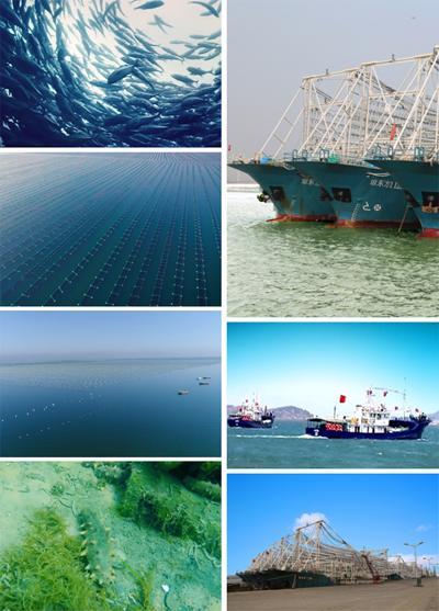 202103221410516264.png 202103221410516264.png